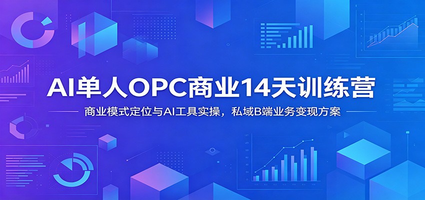 AI单人OPC商业14天训练营：商业模式定位与AI工具实操，私域B端业务变现方案-优优云网创